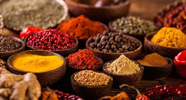 Spice Industry