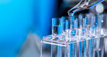 Chemical & Pigments Manufacturing