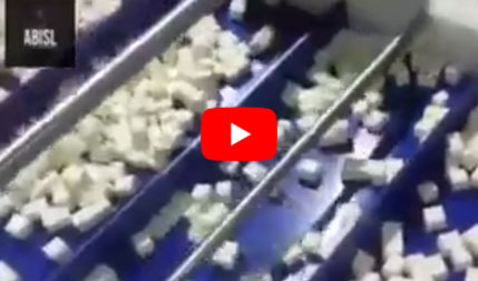 Cheese Packing Machine